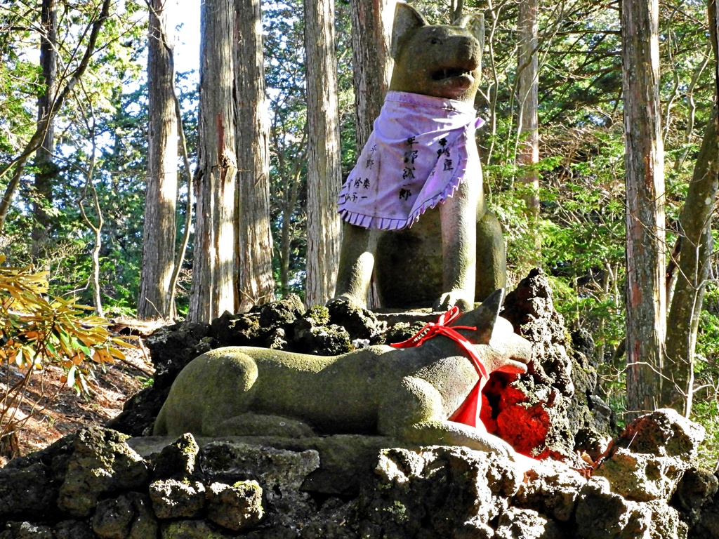 御眷属・お使いの神山犬(ニホンオオカミ）の像ー１