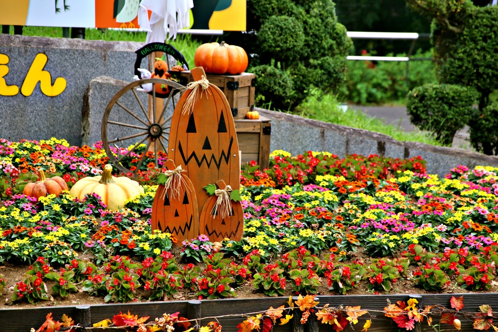 ちょっと早いけど　2019年版ハロウィーン(野毛山動物園バージョン)ー２