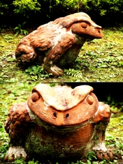 謎の大ガエル
