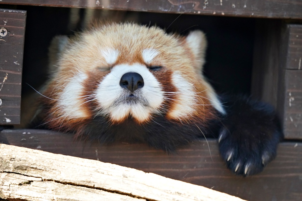 出られません(ーー;)