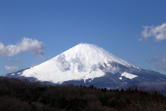 足柄峠からの富士山