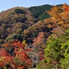 山間の錦秋