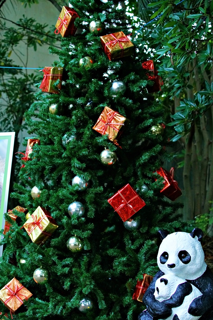 動物園入り口のクリスマスツリー