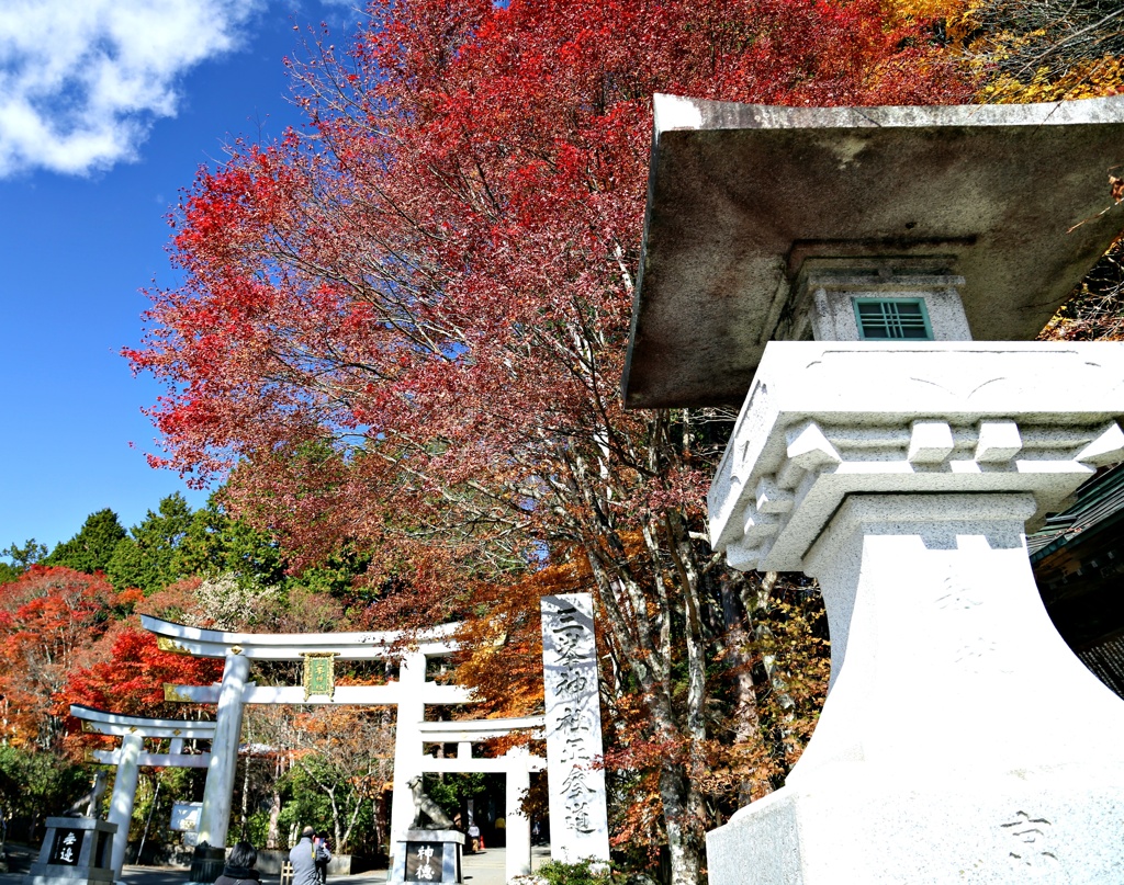 三峯神社鳥居①