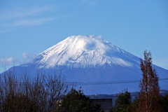 師走の富士山