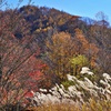 山間の秋の彩り