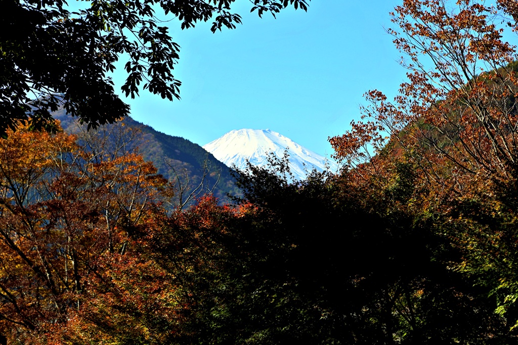 場所によって富士山あるよ！(2019撮影)②