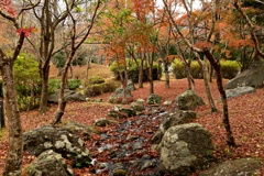 晩秋の山間の公園風景②