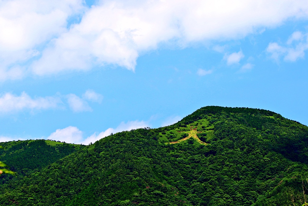 夏山(箱根大文字)