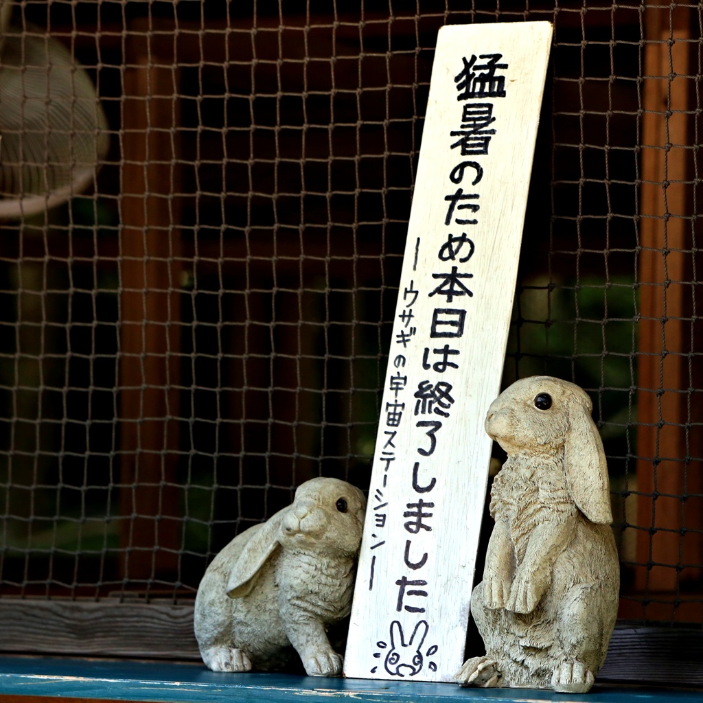 ウサギ共和国アナウンス部