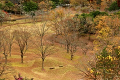 誰もいない公園