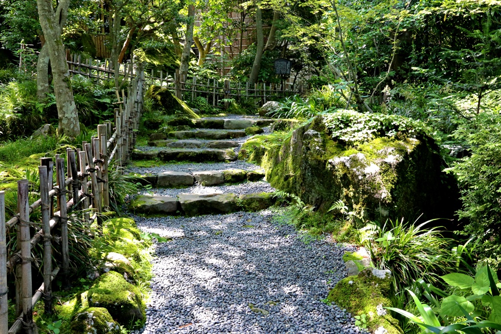 茶室への道