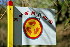 ウサギ共和国:国旗