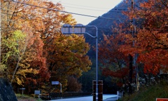 山間の甲斐路紅葉②