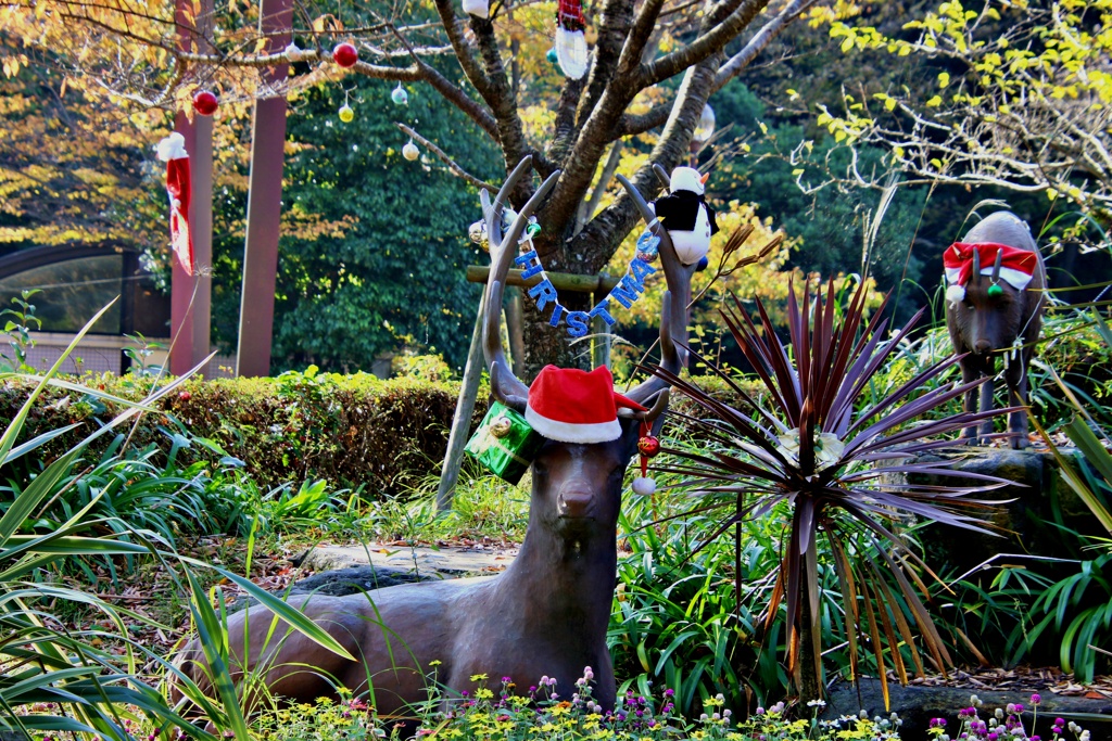 カウントダウンクリスマス：シカ他