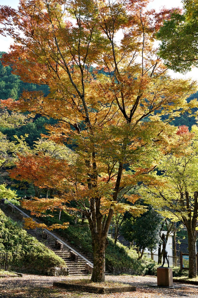 山間に秋色深まり行く