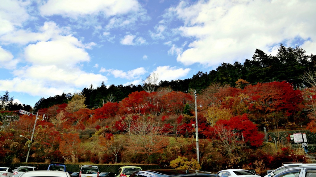 神社への紅葉通り(駐車場から）