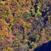 秩父三峰の紅葉