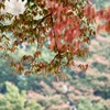 秋の訪れ