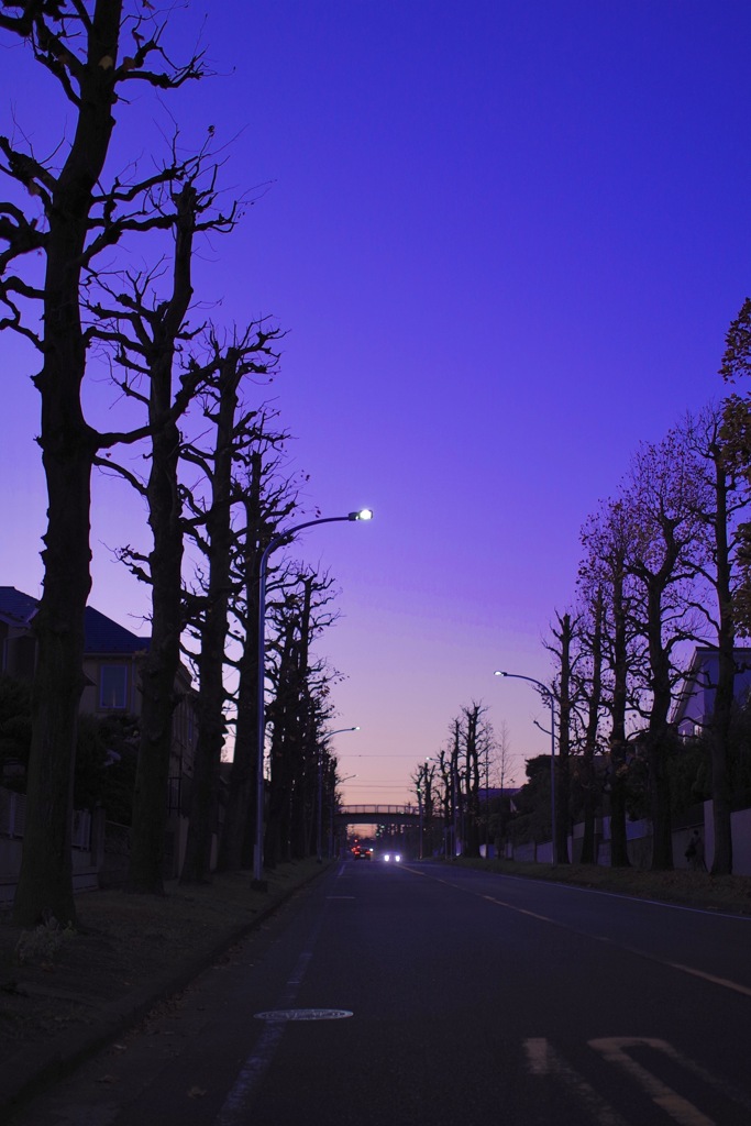 夕暮れの街角