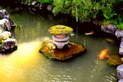 鯉の池