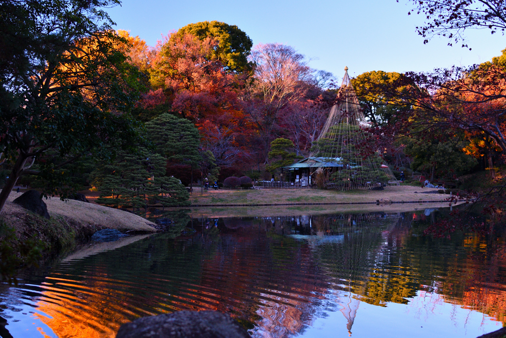 六義園　紅葉