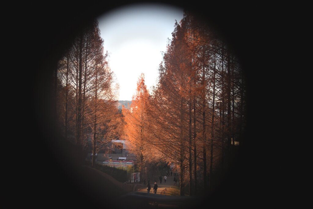 穴の中から見えた景色