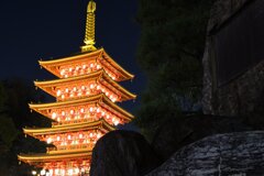 高幡不動尊