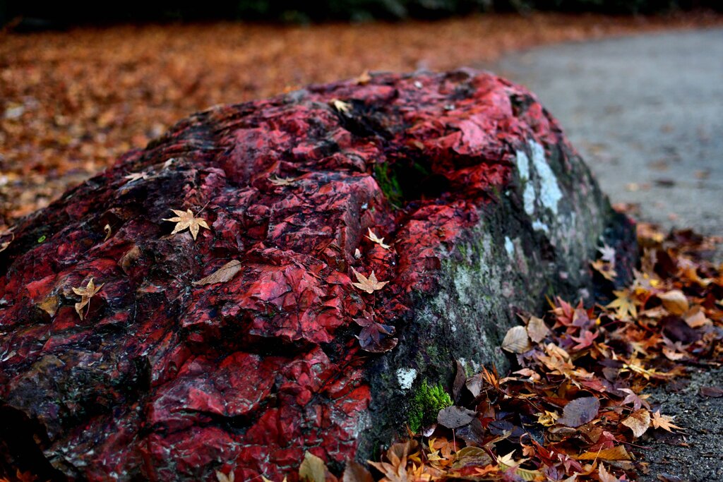 石と紅葉