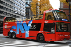 東京駅近く　観光バス