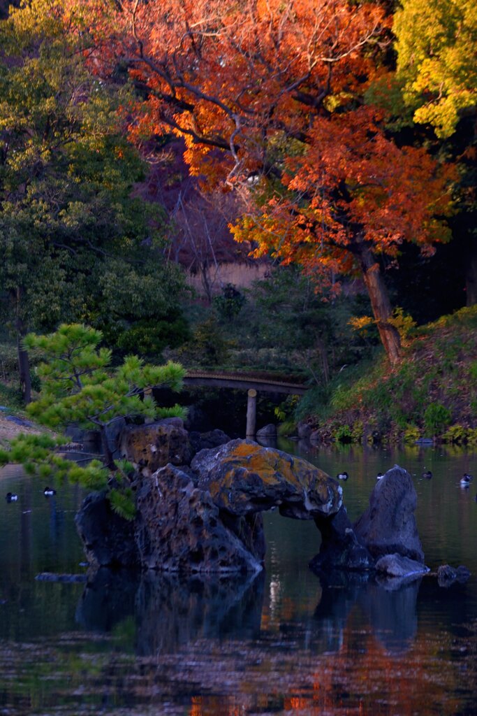 紅葉と池