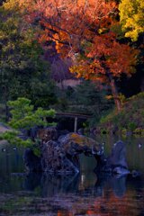 紅葉と池