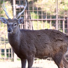 IMG_20200318_230833_607