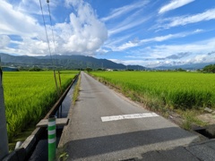 山梨　田舎道