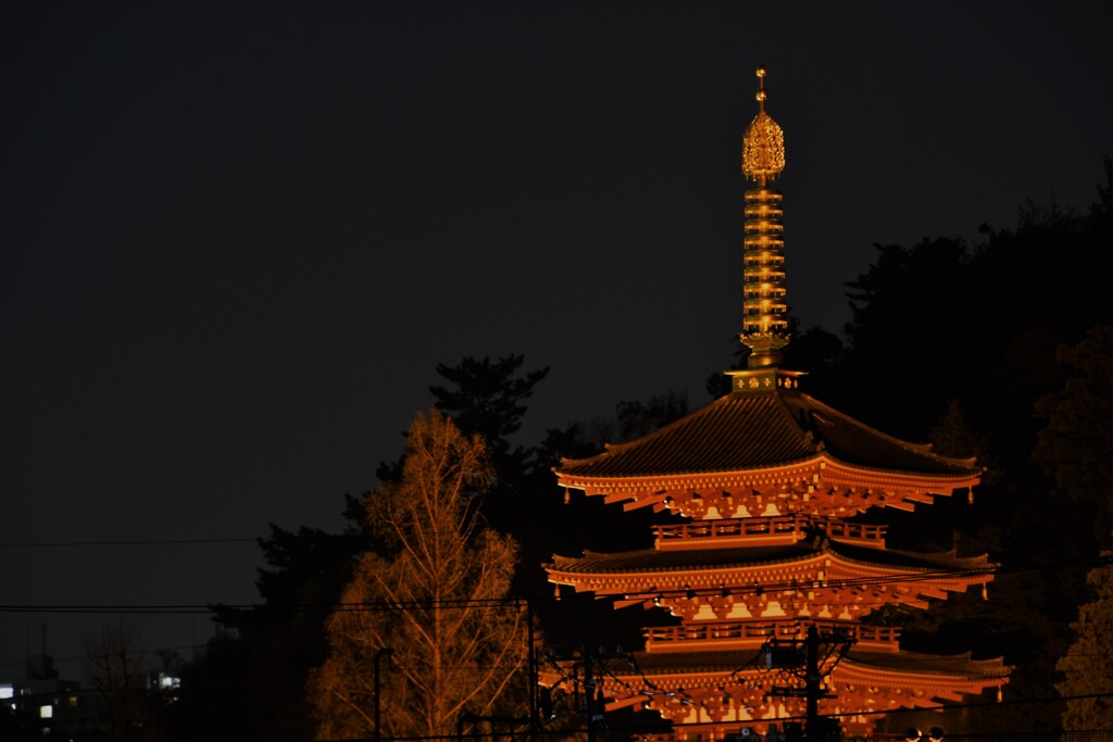 高幡不動尊 
