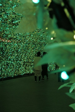 Nabana no Sato illumination