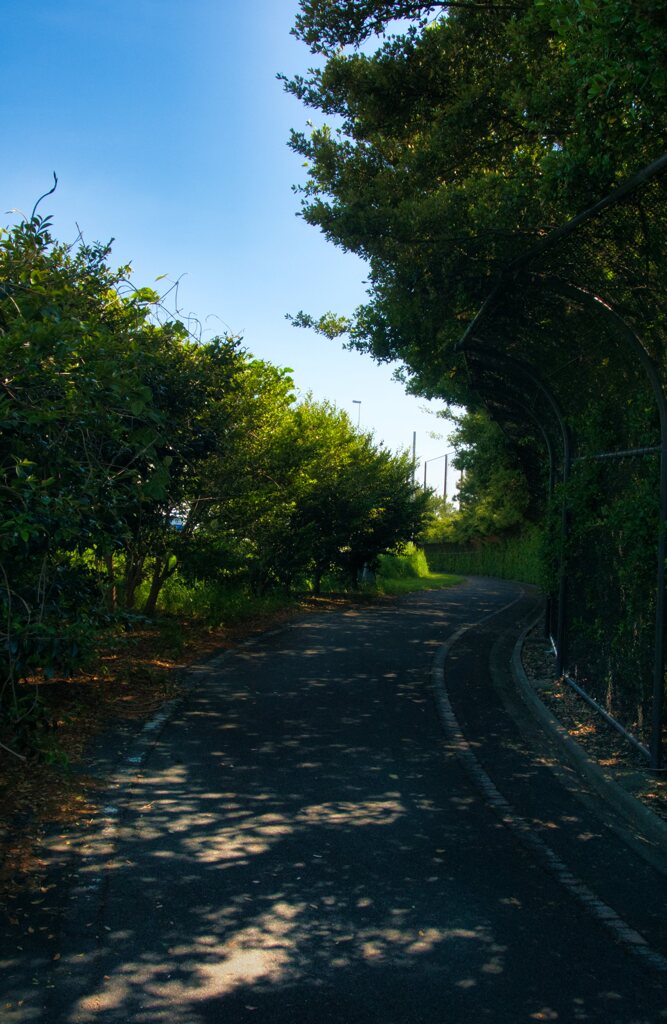 富浜緑地