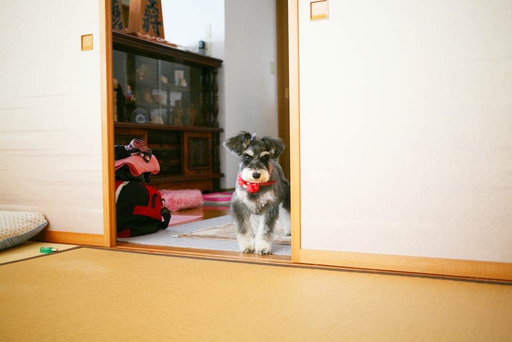 なごとラン　