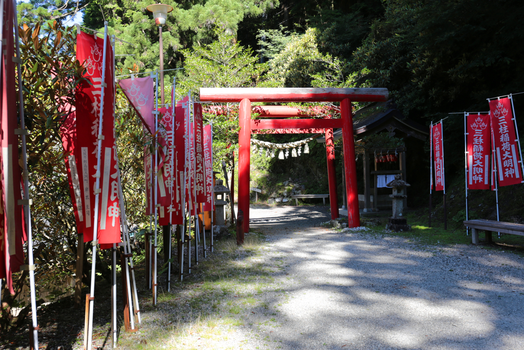 玉置神社　　車酔って　しんどかったですが　風景がよくパワーを貰いました