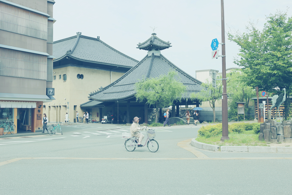 のんびりした生活がいいです　バタバタしすぎ　もうあかん