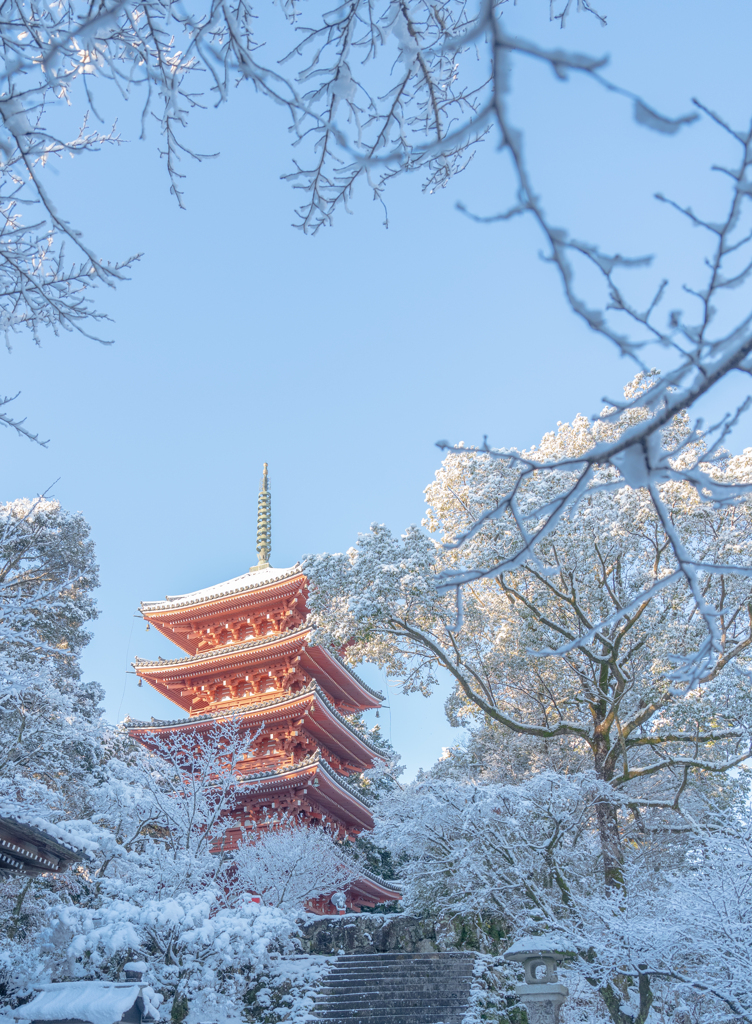 雪化粧