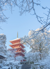 雪化粧