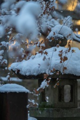 雪灯篭