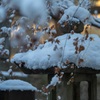雪灯篭