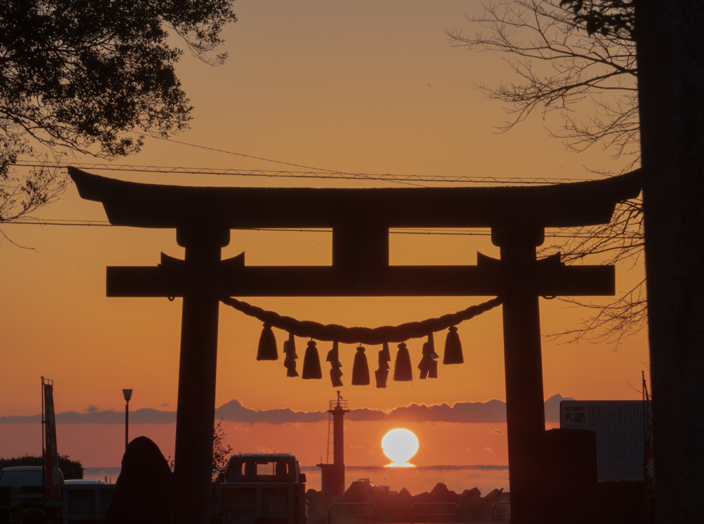 だるま朝日