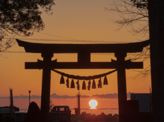 だるま朝日