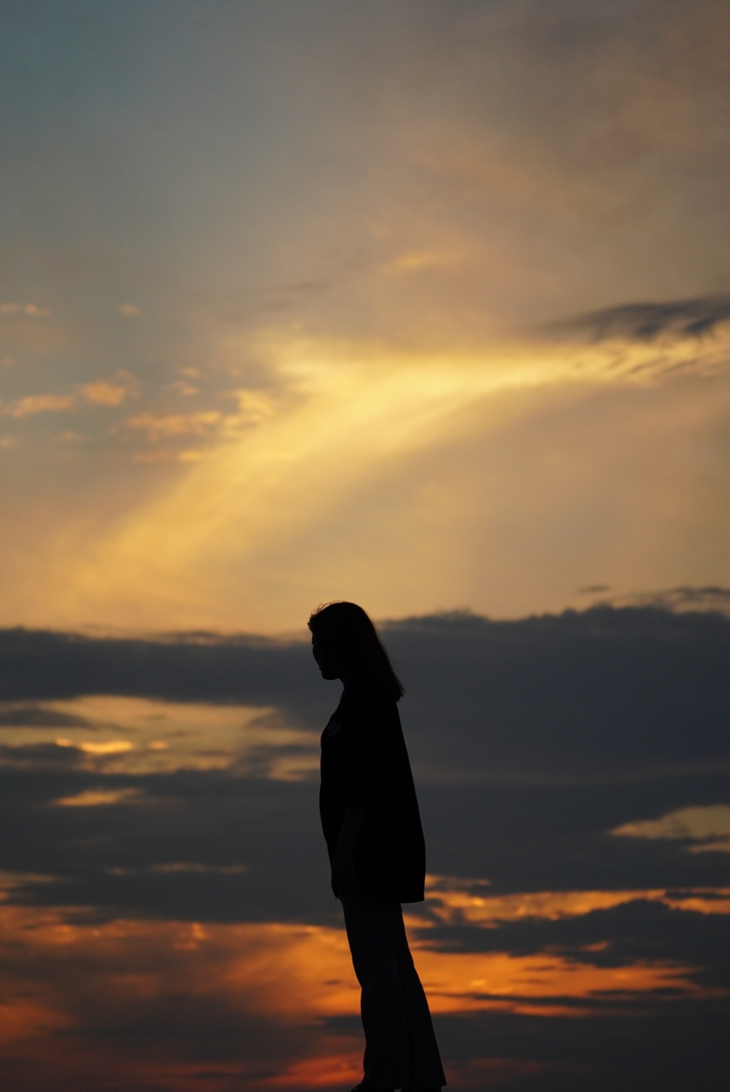 夕日と君と