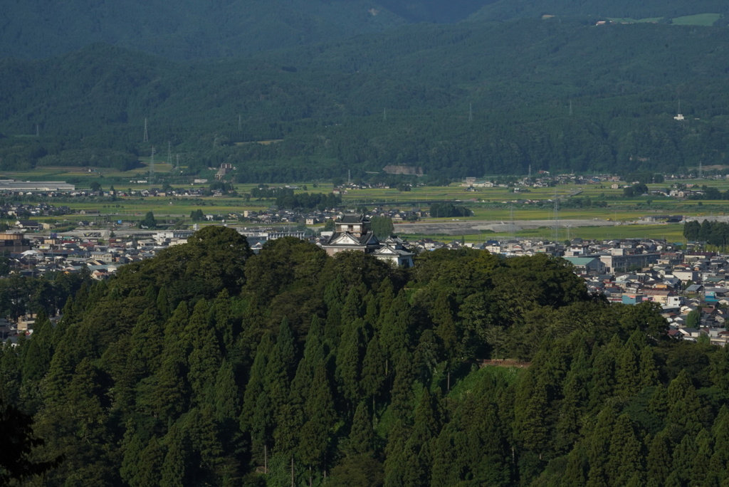 越前大野城