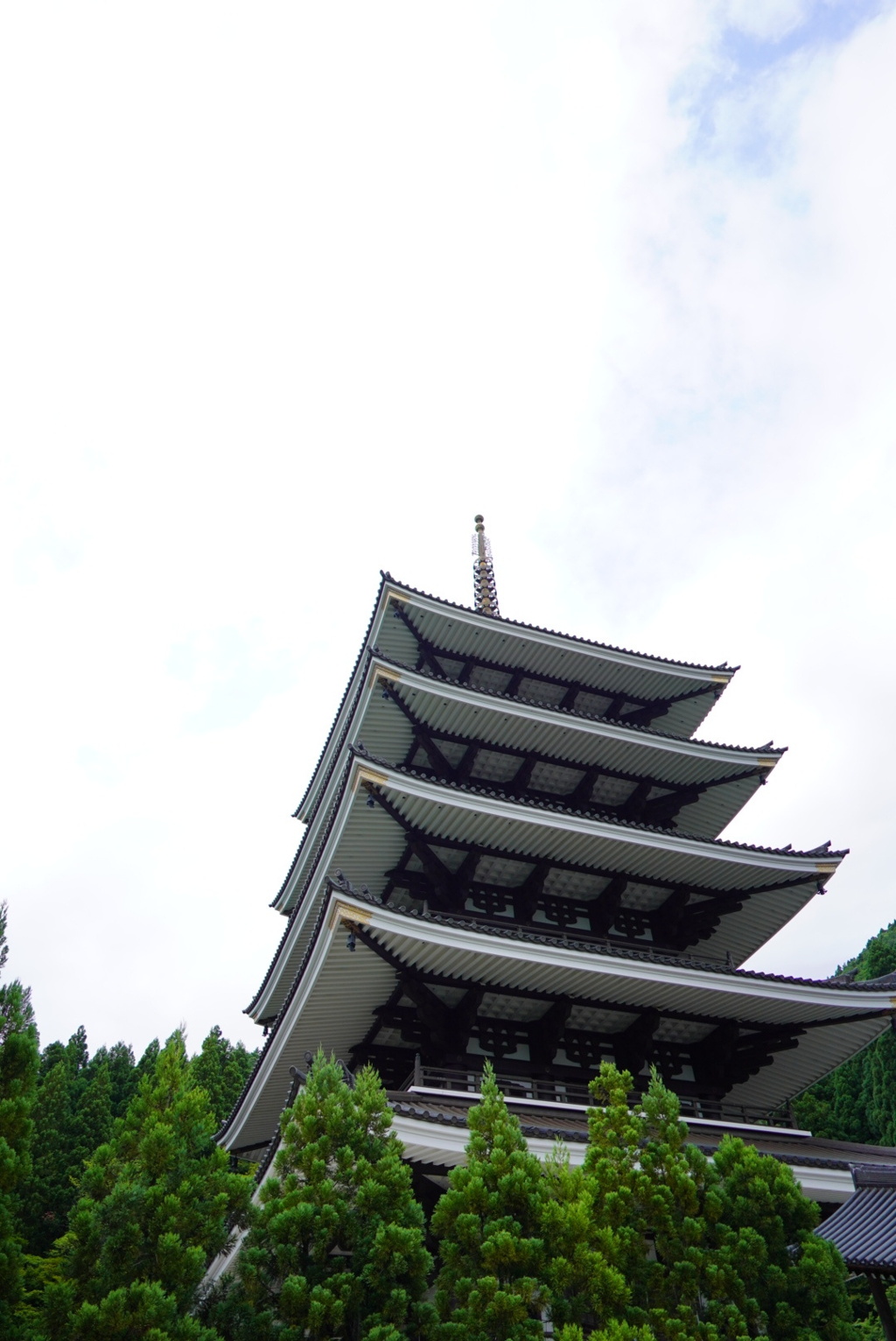 越前大仏五重塔