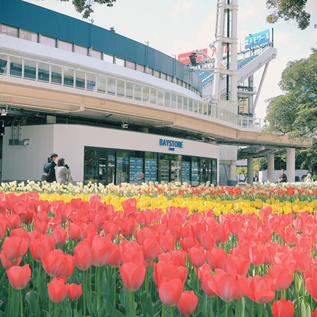 横浜スタジアム